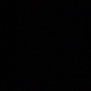 Meet your Posher, Patrice